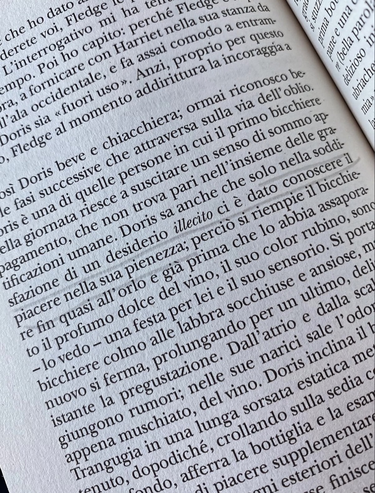 Una pagina interna del romanzo Grottesco