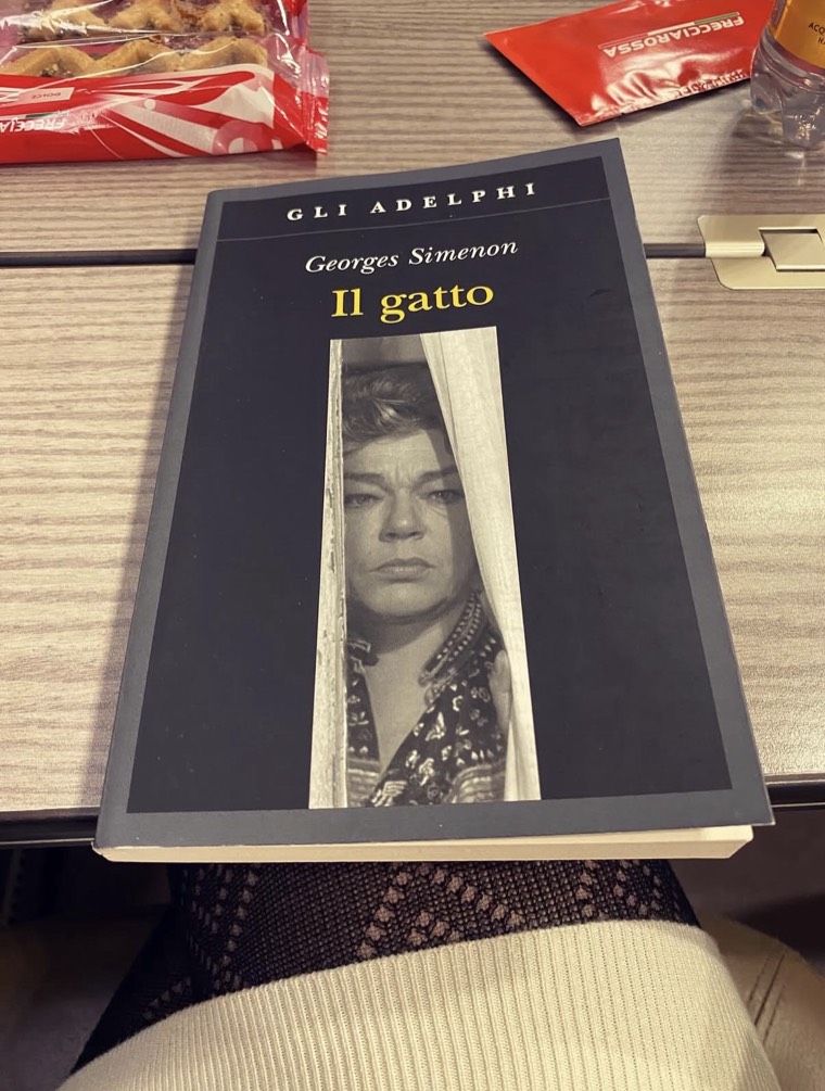 Copertina del romanzo Il gatto